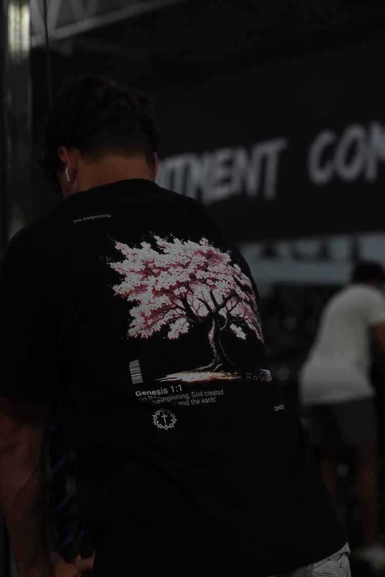 Beginning Collection